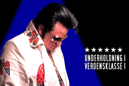 Elvis in concert - Mike Andersen