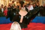 Rodeohest