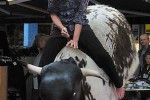 Rodeotyr