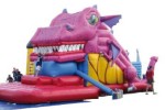 Snappy Dragon